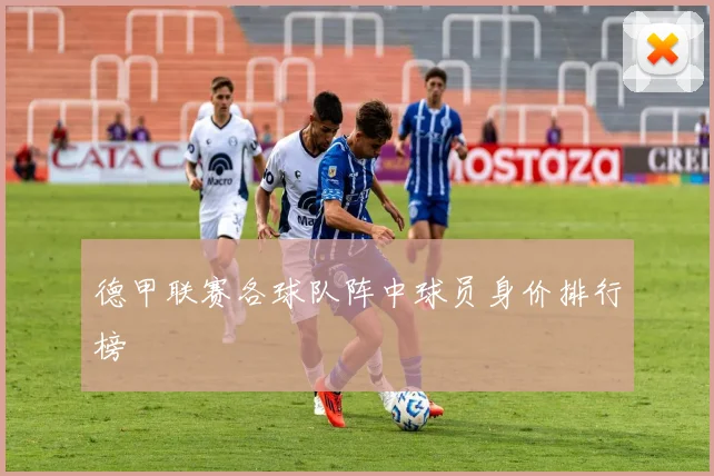 德甲联赛各球队阵中球员身价排行榜