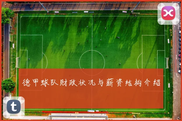 德甲球队财政状况与薪资结构介绍