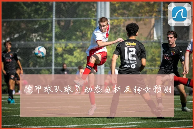 德甲球队球员动态分析及转会预测
