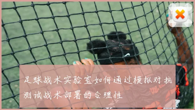 足球战术实验室如何通过模拟对抗测试战术部署的合理性