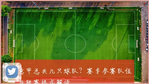 意甲总共几只球队？赛季参赛队伍与联赛格式解读