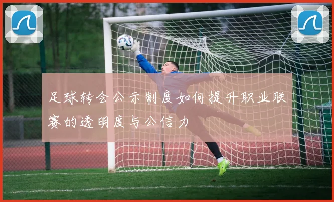 足球转会公示制度如何提升职业联赛的透明度与公信力