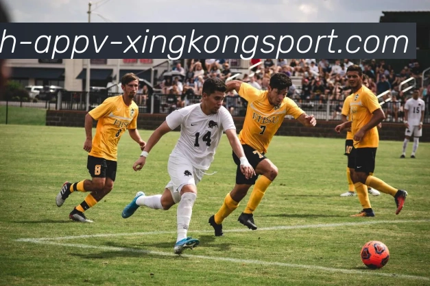 星空体育品牌故事